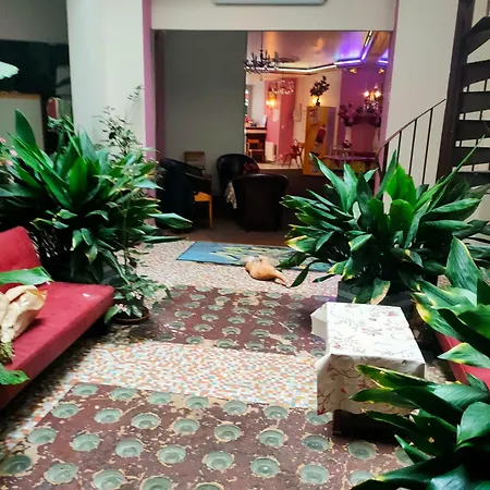 Saint Fracois Xavier Hotel